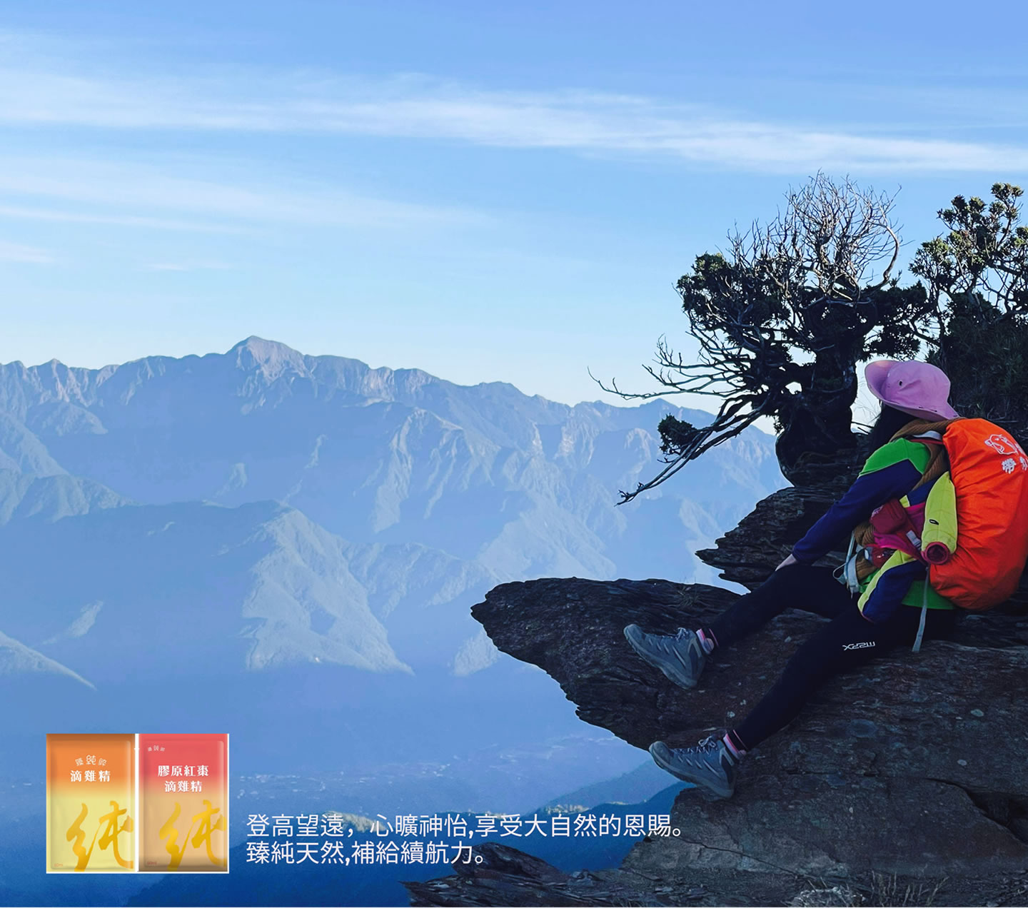 百分百商行::臻純綷滴雞精